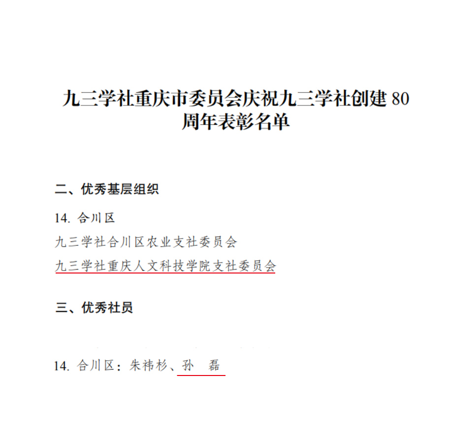 word_image_17471921480.png